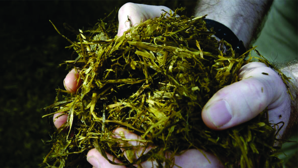 Person som holder silo i hendene