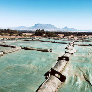 Grønn Silostop plastduk