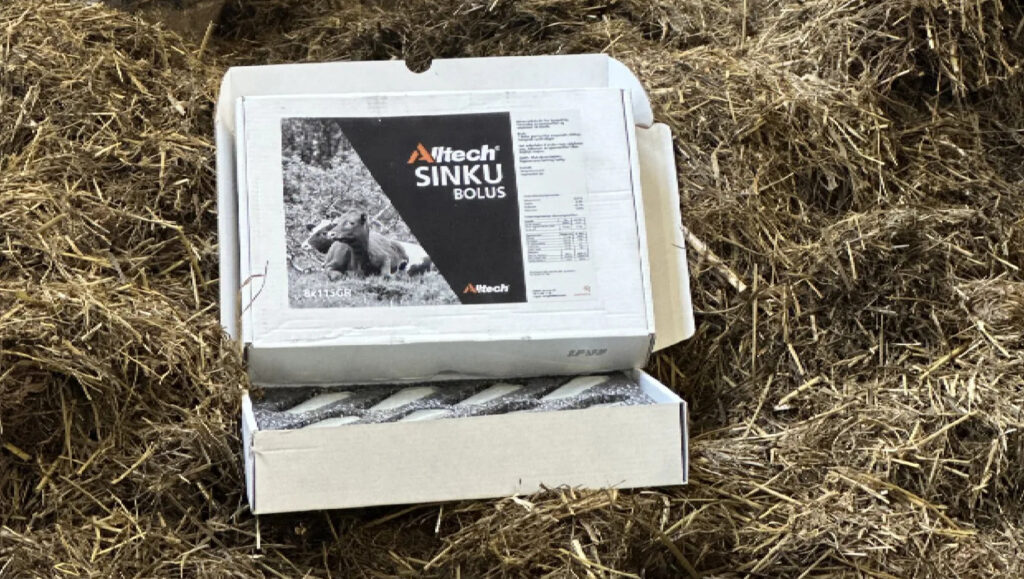 Eske med Sinku Bolus fra Alltech 